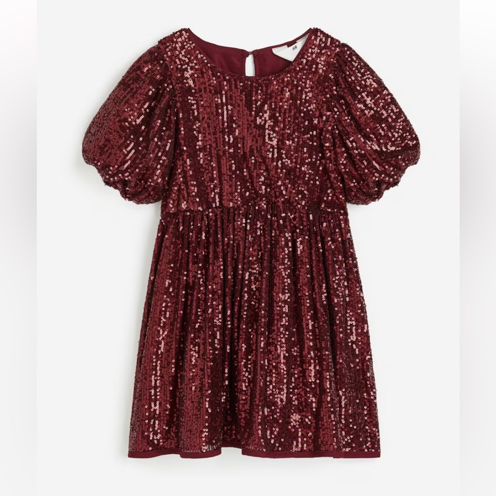 H&M Sequin Dress
